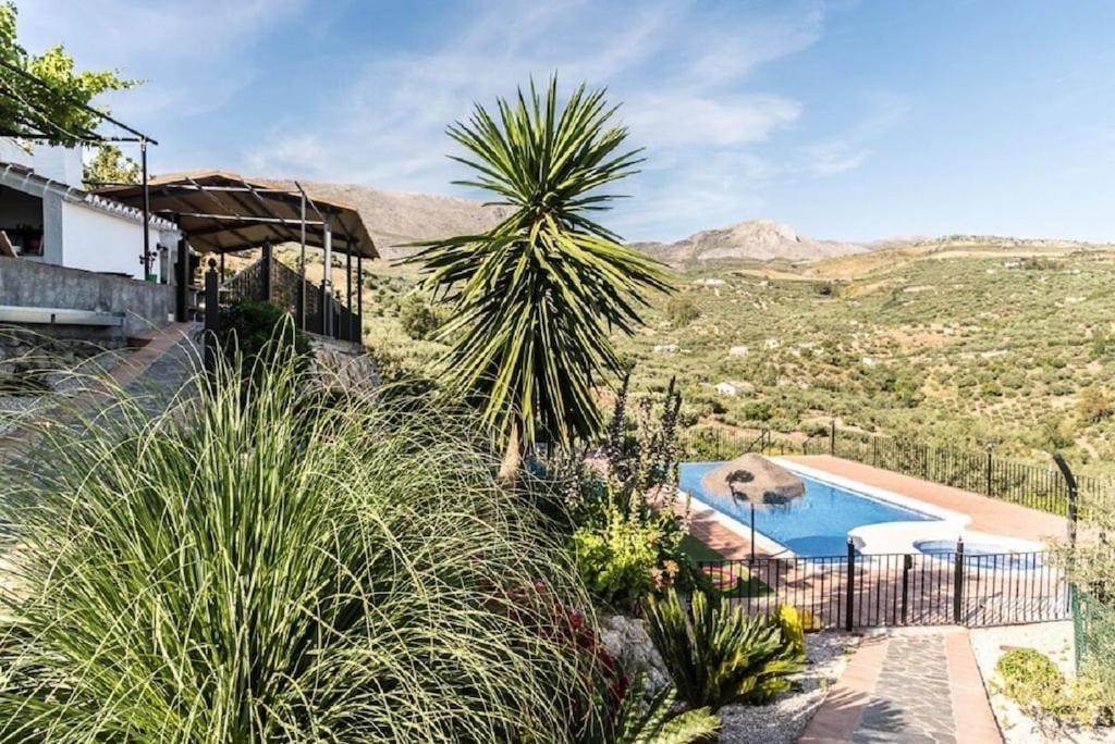 a house with a swimming pool and a palm tree at Cortijo Cabrilla in Periana