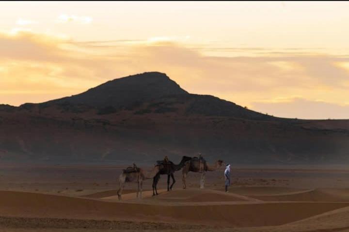 un hombre caminando dos camellos en el desierto en Bivouac ZAGORA, en Zagora