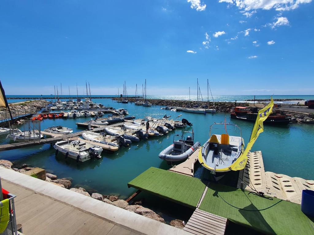 a bunch of boats are docked in a harbor at Superbe vue sur mer à Sète in Sète