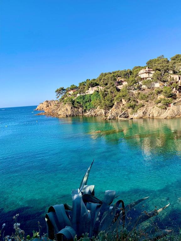 une vue sur une masse d'eau avec une plante dans l'établissement Cabanon contemporain - Côte bleue - Calanque de la Redonne, à Ensuès-la-Redonne