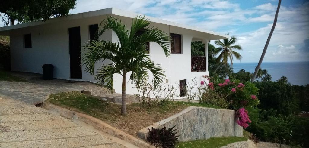 uma casa branca com uma palmeira em frente ao oceano em Bungalow de Ballenas em Punta Balandra