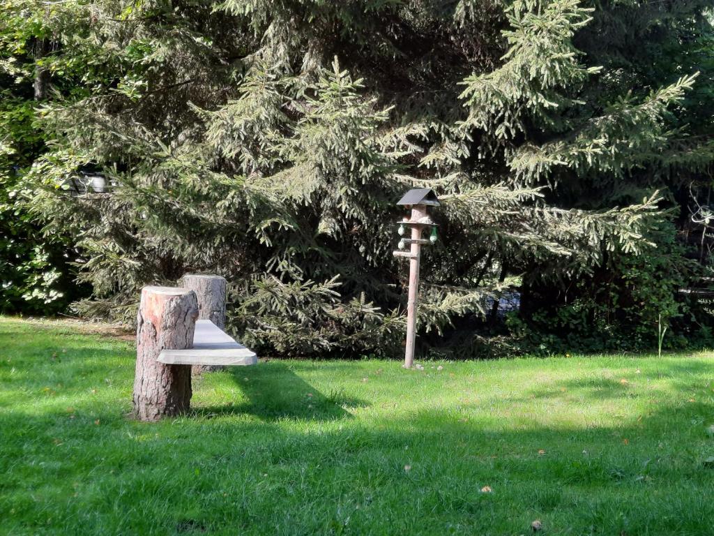 Afbeelding uit fotogalerij van Chalet Bord De L'eau in Bièvre