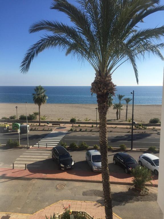 a palm tree in a parking lot next to the beach at Casa Estrella in Mojácar
