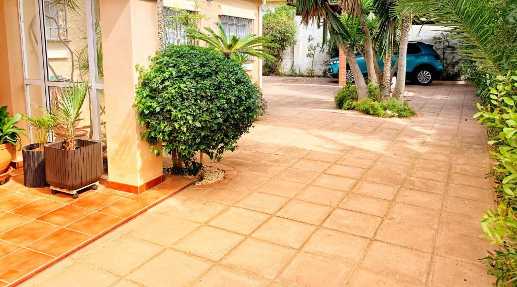 Zahrada ubytování Beach Villa Costanera in Marbella