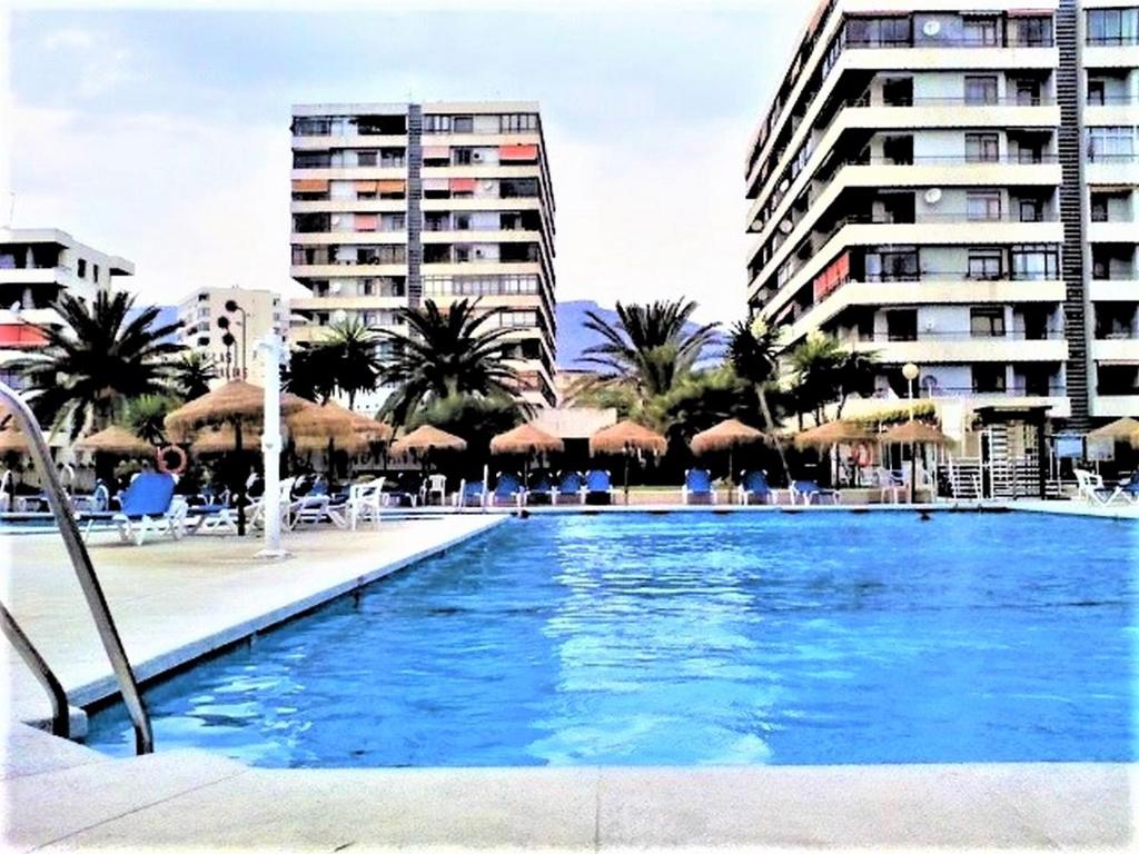 basen z leżakami, parasolami i budynkami w obiekcie NOGALERA w mieście Torremolinos