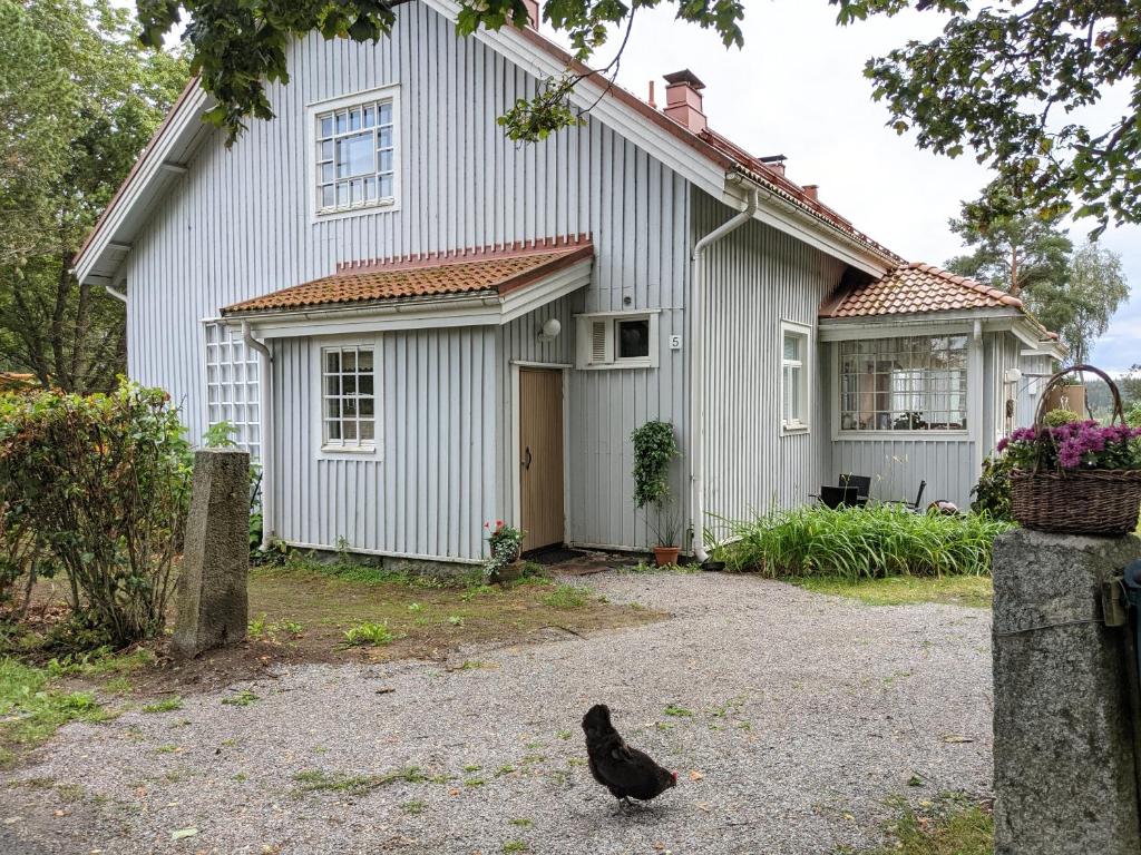 a black bird standing in front of a house at Narvan Maatilamajoitus Helenan Kanat ja Kammarit 