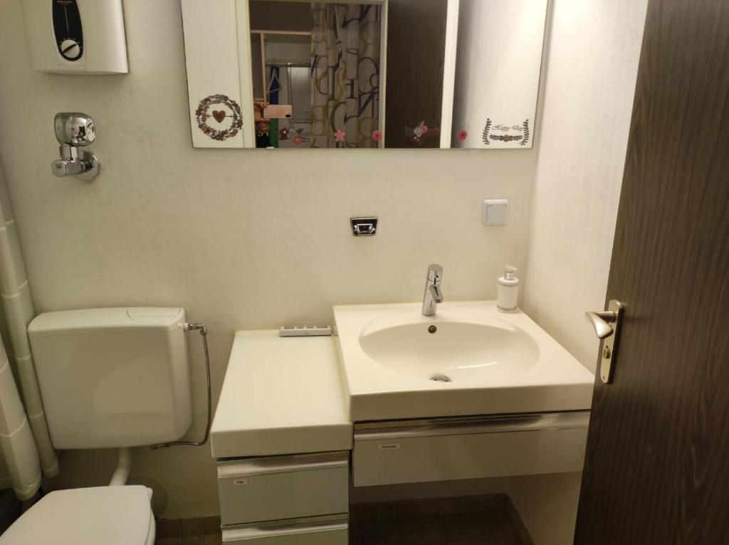 een badkamer met een wastafel, een toilet en een spiegel bij Ferienapartment Maria in Sankt Englmar in Sankt Englmar
