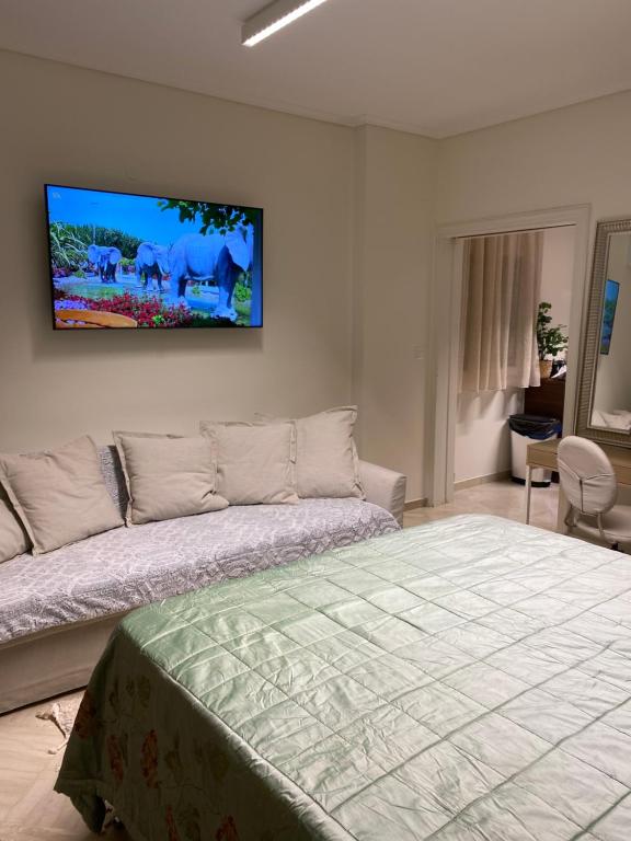 Ag.Sofias pedestrian area luxury ap. & big balcony - 5