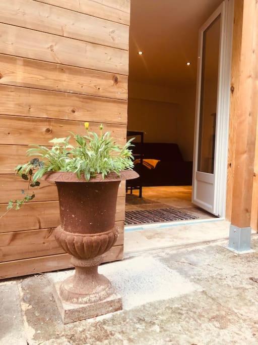 une plante dans un pot devant un bâtiment dans l'établissement Bienvenue « À l’ombre du figuier », à Pieusse