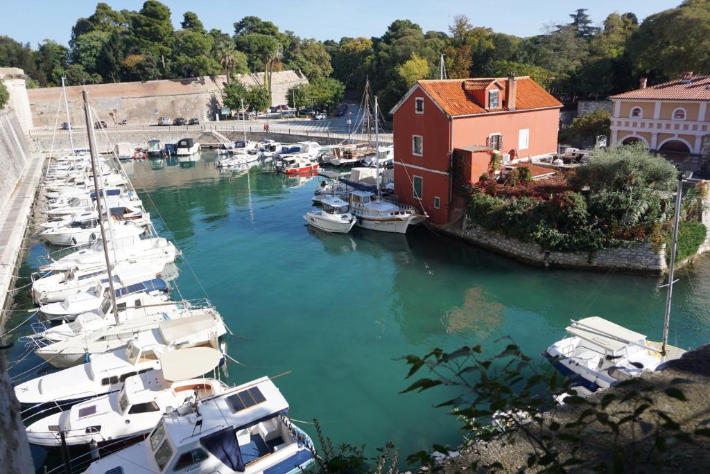 Zdjęcie z galerii obiektu Clover Apartman w mieście Zadar