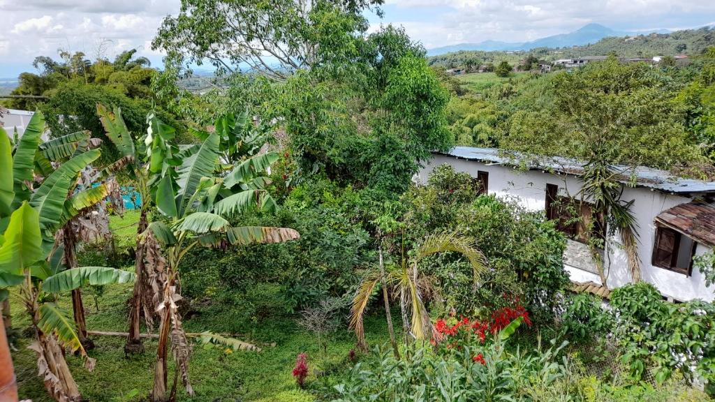 Apto/cabaña naranja