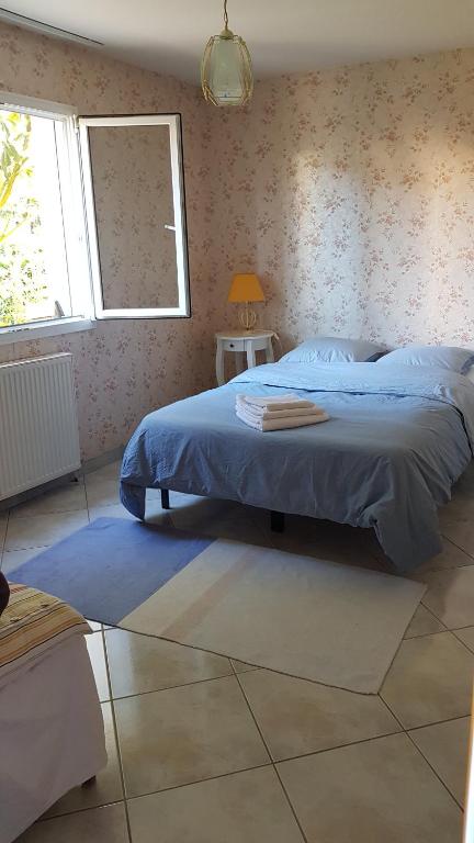 a bedroom with a bed with a blue blanket and a window at Chambre et sdb privées avec accès indépendant et autonome in Saint-Herblain