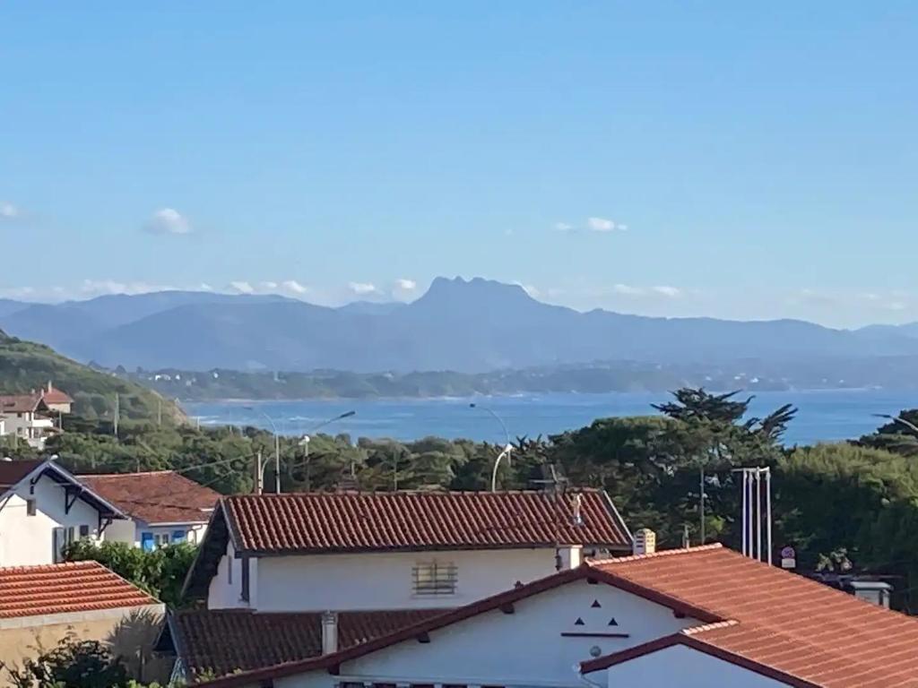 widok na wodę z dachów domów w obiekcie Milady Ocean View w Biarritz