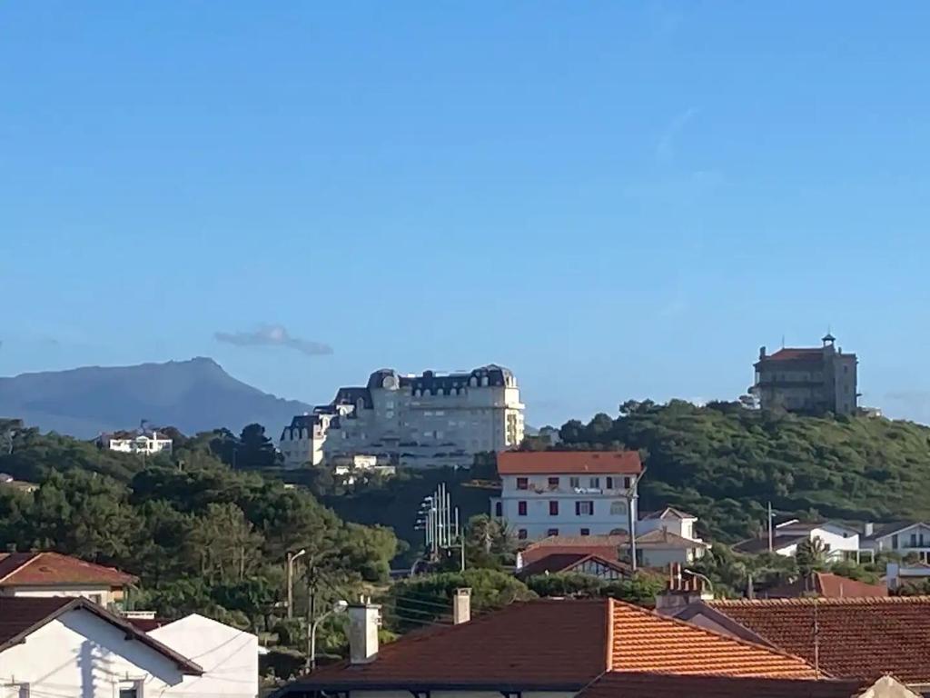 Příroda nedaleko apartmánu