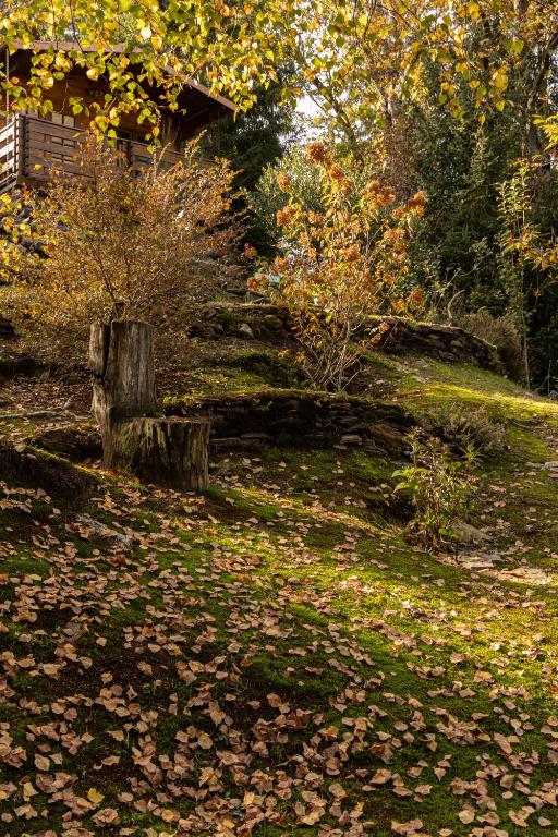 Zahrada ubytování Eco-Resort Parco Botanico Fiorlago