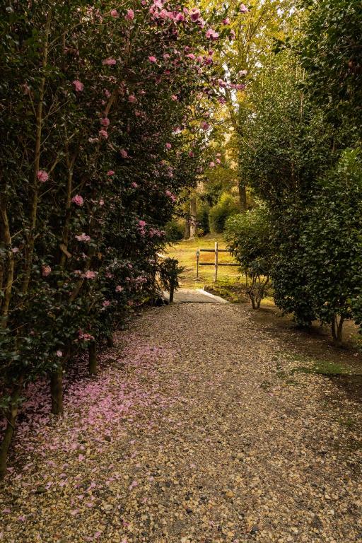 Zahrada ubytování Eco-Resort Parco Botanico Fiorlago