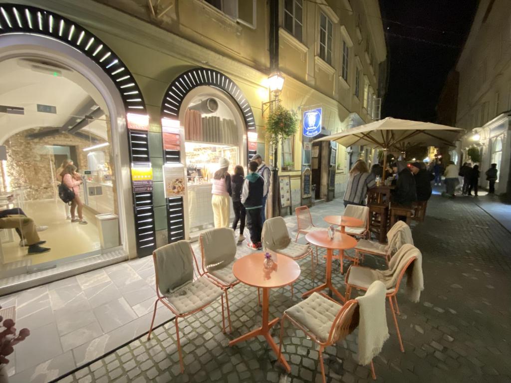 Hosté ubytování Villa pod Gradom