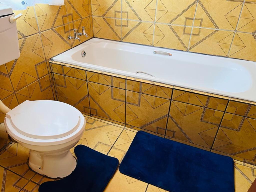 a bathroom with a toilet and a tub and a blue rug at Izinjiki Namacusi Guest House in Amsterdam