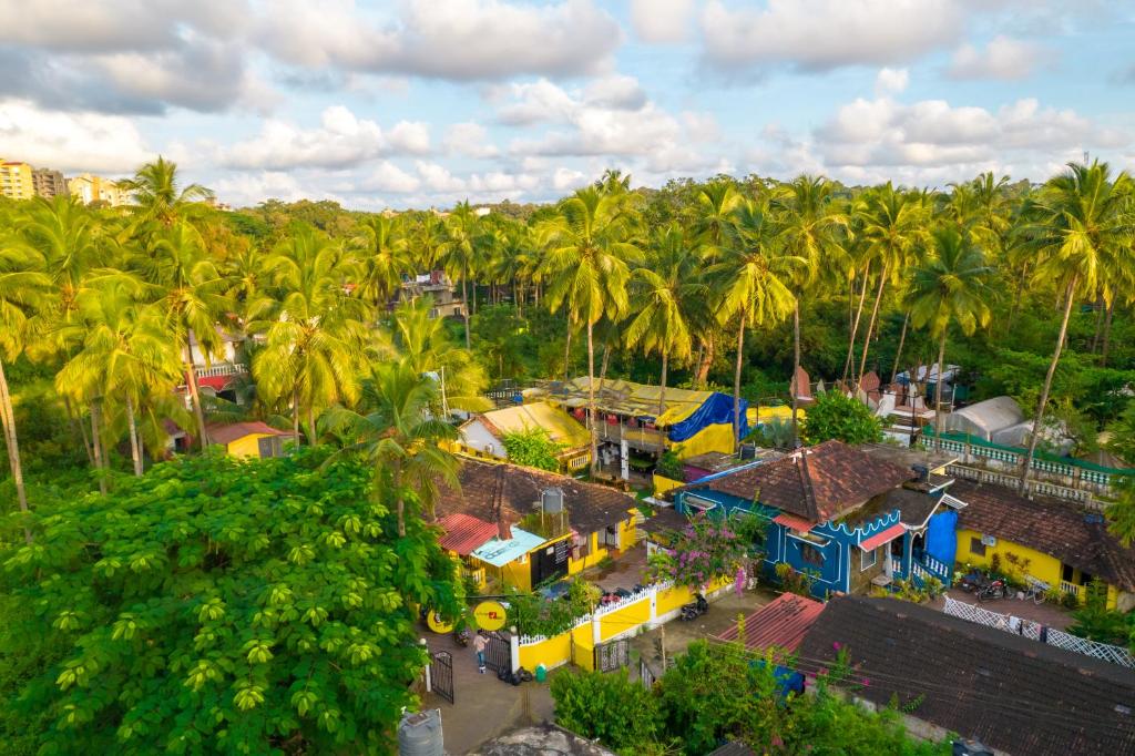 an aerial view of a village with palm trees at Whoopers hostel Palolem in Palolem