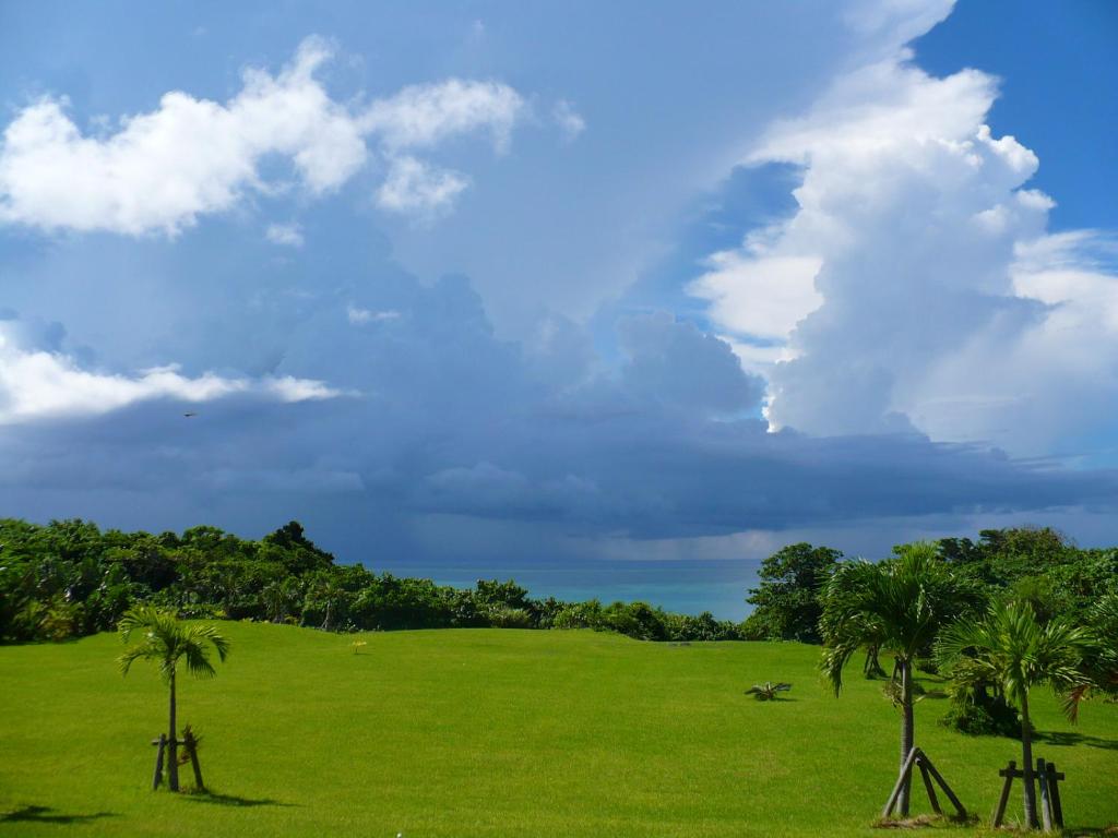 een groen veld met palmbomen en een bewolkte lucht bij Tsundara Beach Retreat in Ishigaki Island