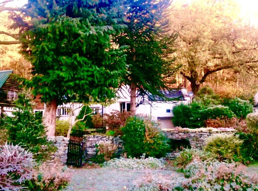 a garden with trees and bushes and a house at Dove Cot country cottage Ambleside in Ambleside