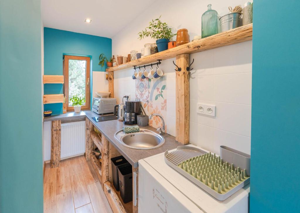 Kuchyň nebo kuchyňský kout v ubytování Apartament Latynoski z ogrodem - Dream Apart