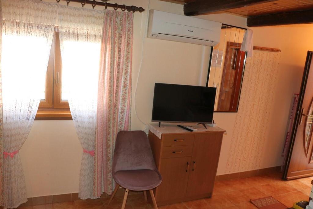 TV a/nebo společenská místnost v ubytování Apartment Edo