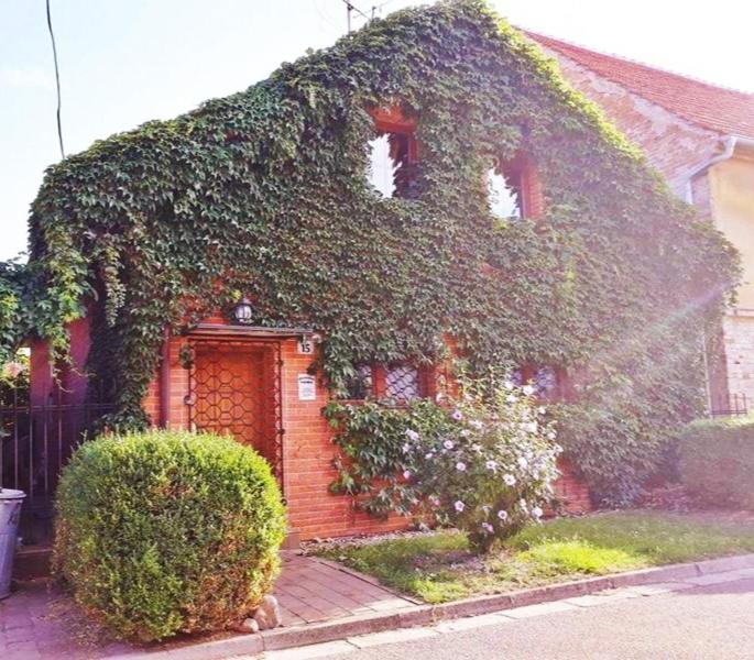 a house covered in ivy in front of a house at Penzion Vanda in Velké Pavlovice