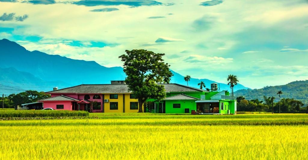 una casa en medio de un campo de arroz en 小葉園民宿Little Ya B&B en Ruilong