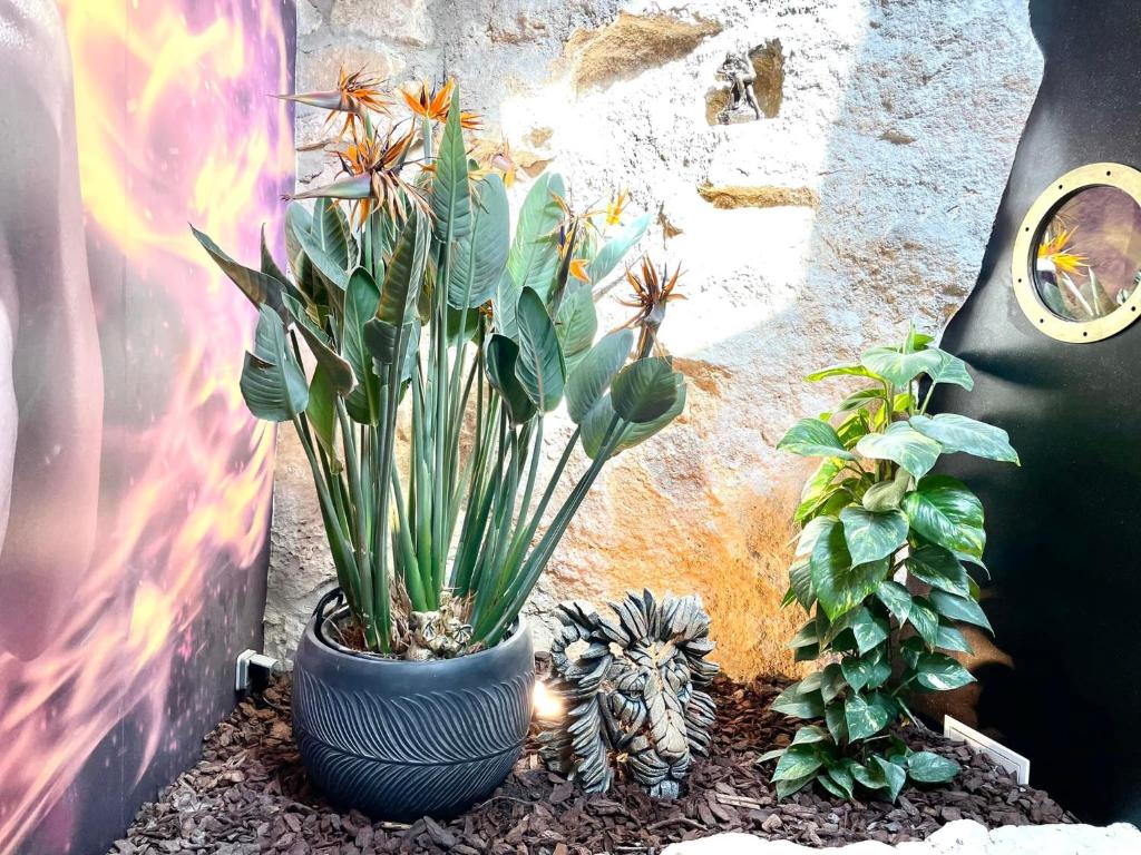 a plant in a blue vase next to some plants at Le Jardin secret in Pontoise