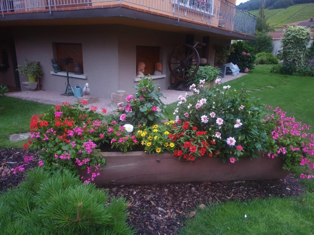 einem Blumengarten vor einem Haus in der Unterkunft La rocatelle in Andlau