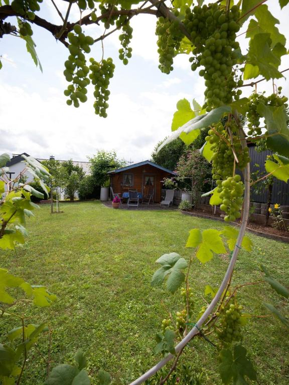 Zahrada ubytování Ferienwohnung Christel Lorenz