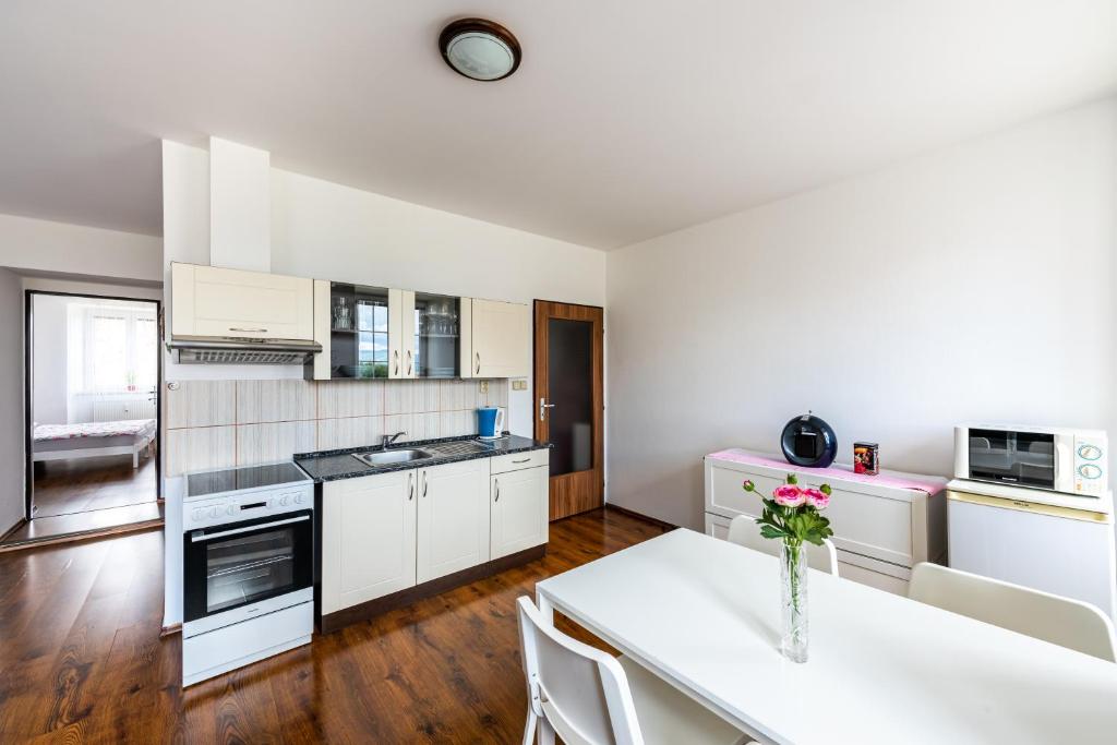 Kuchyň nebo kuchyňský kout v ubytování Apartmán Hartmanice