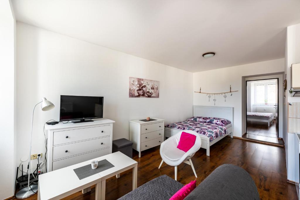 TV a/nebo společenská místnost v ubytování Apartmán Hartmanice