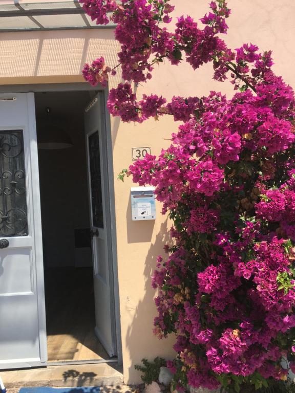 Une bande de fleurs violettes sur le côté d'un bâtiment dans l'établissement Appartement central des terres chaudes proche bord de mer, à Menton