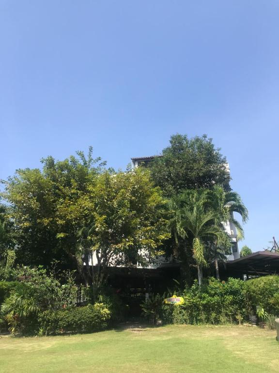 Buddy Guesthouse - Resim 7