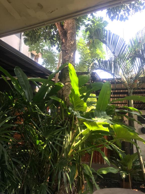 Buddy Guesthouse - Resim 19