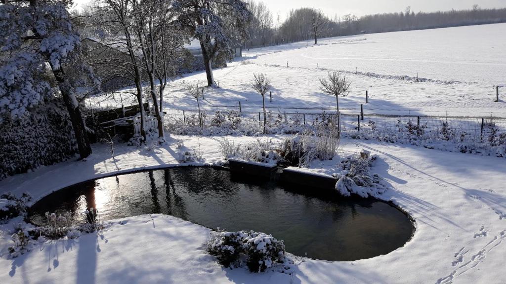 Gite avec piscine La Buissiere - Fernelmont v zimě