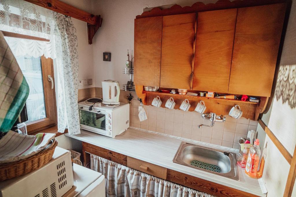 a kitchen with a sink and a microwave at chata u Tesáku in Rajnochovice