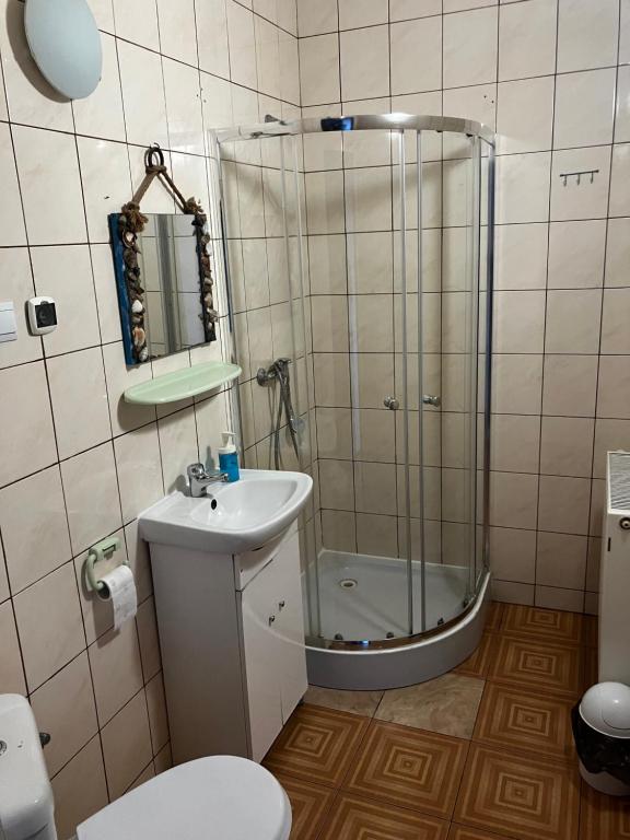 Koupelna v ubytování Wisełka