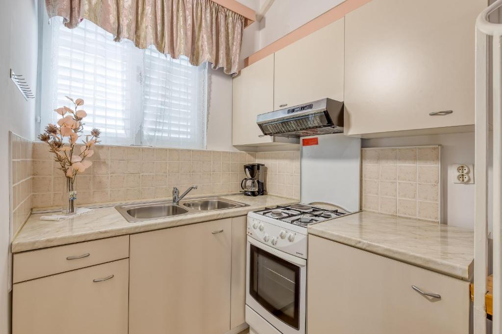 Kuchyň nebo kuchyňský kout v ubytování Apartments Slavica