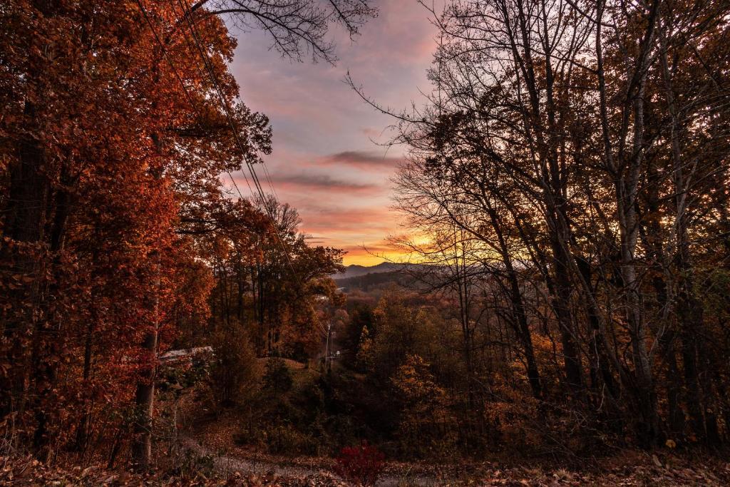 a sunset in the mountains with trees and a dirt road at Sky High Cabin in Bryson City in Bryson City