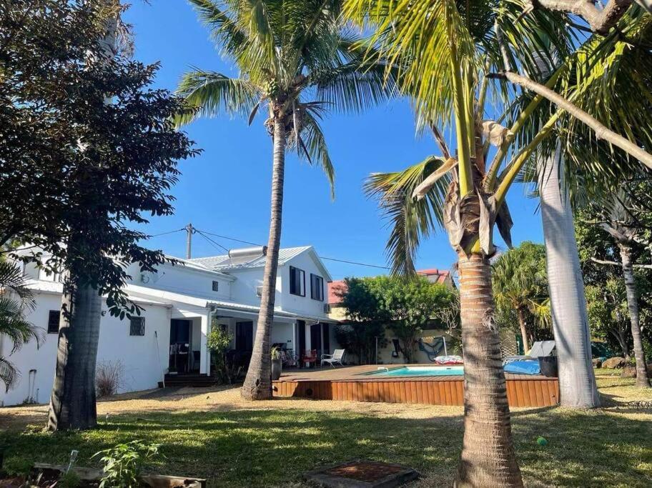 une maison avec des palmiers et une piscine dans l'établissement Villa Jujubes, à Le Bois de Nèfles