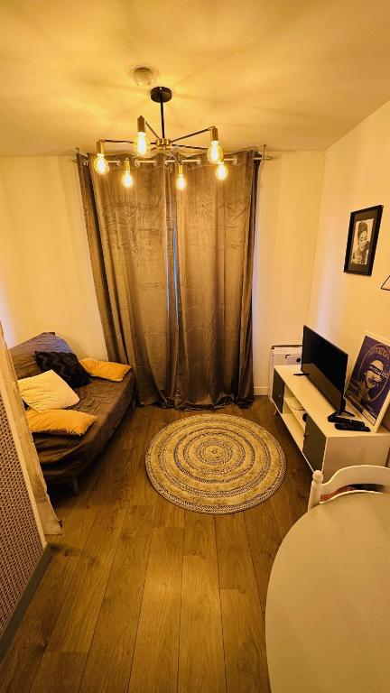 TV a/nebo společenská místnost v ubytování LA VILLA DEKO - Studio avec parking proche Université et Hôpital