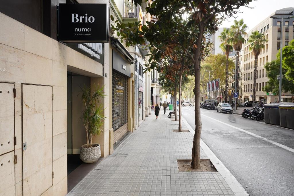 Numa Barcelona Brio - Resim 23