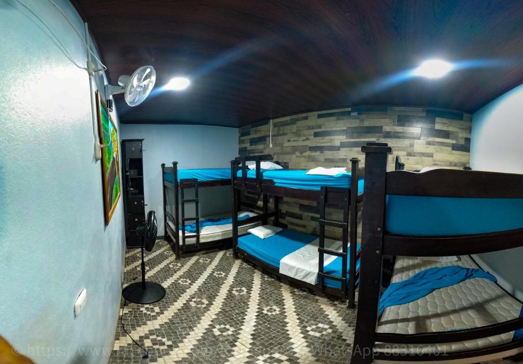 Postel nebo postele na pokoji v ubytování Hostel Tortuguero 7BackPackers