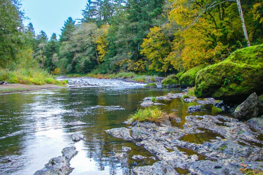 Trask River Ranch, Tillamook (updated prices 2024)