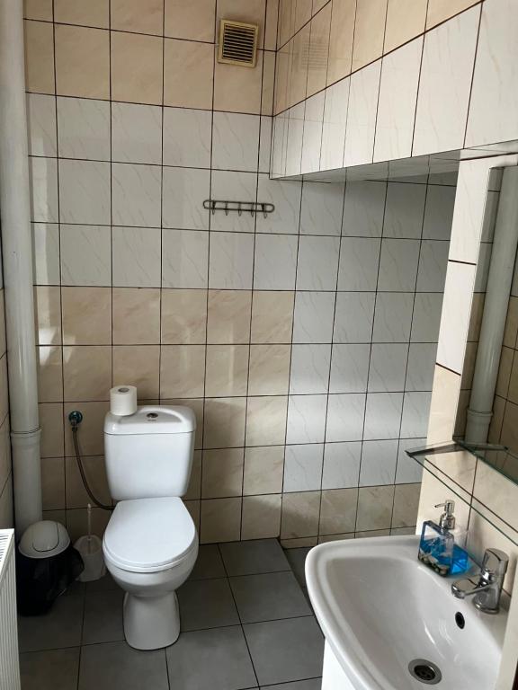 Koupelna v ubytování Wisełka