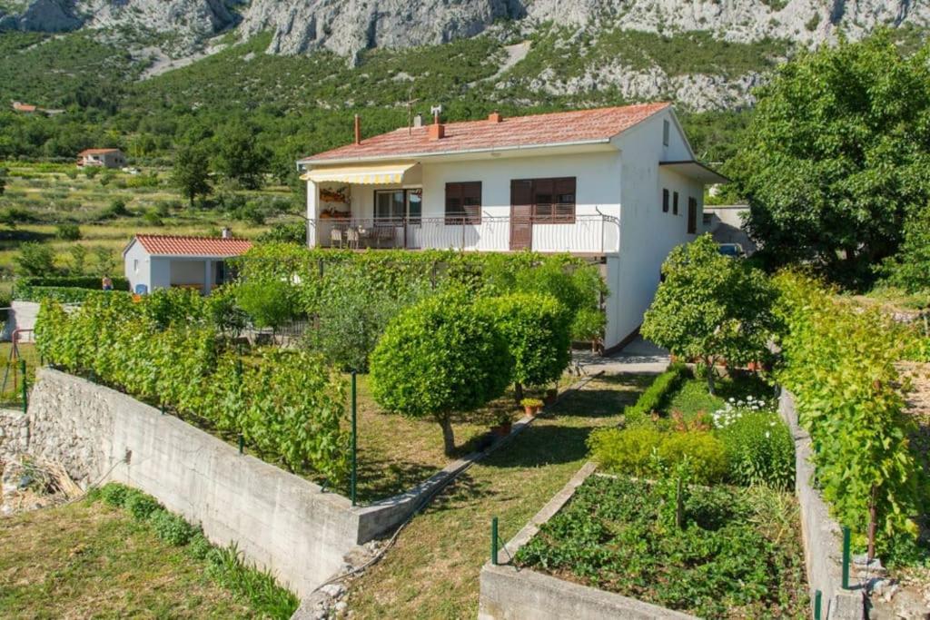 Příroda nedaleko apartmánu