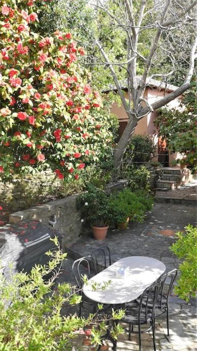 Vonkajšia záhrada v ubytovaní Wonderful 4 Bedroom Villa & separate guest house Villa Thalia